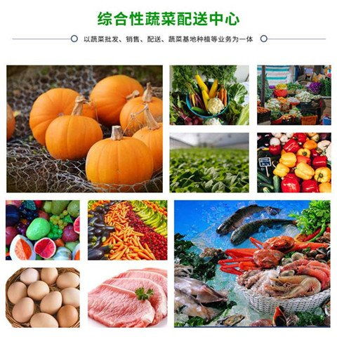 廣州朱村飯?zhí)贸邪r食材供應(yīng)商